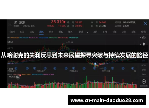 从哈谢克的失利反思到未来展望探寻突破与持续发展的路径