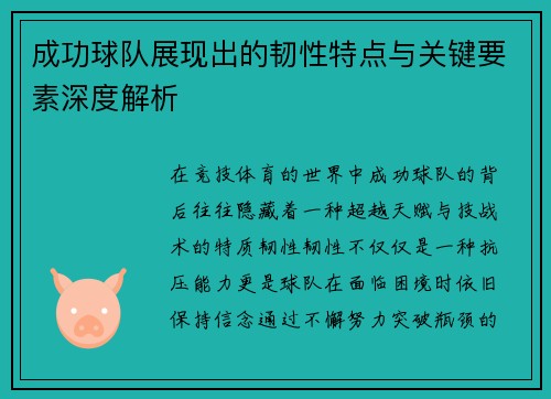 成功球队展现出的韧性特点与关键要素深度解析