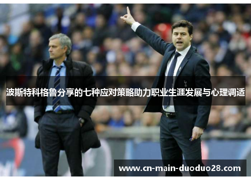 波斯特科格鲁分享的七种应对策略助力职业生涯发展与心理调适