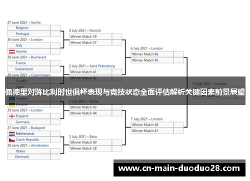 佩德里对阵比利时世俱杯表现与竞技状态全面评估解析关键因素前景展望