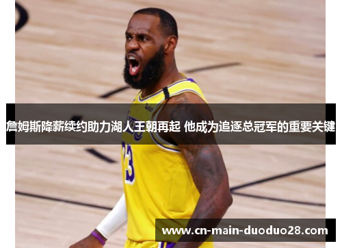 詹姆斯降薪续约助力湖人王朝再起 他成为追逐总冠军的重要关键 詹姆斯降薪续约助力湖人王朝再起 他成为追逐总冠军的重要关键