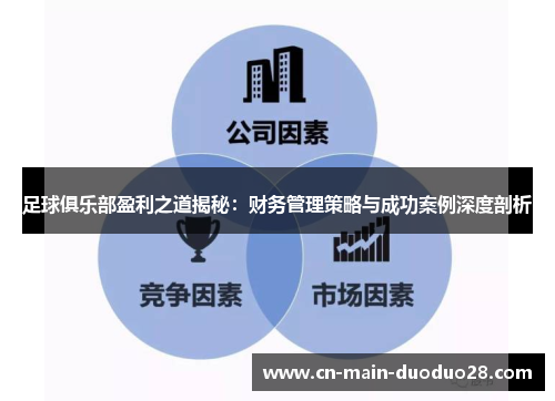 足球俱乐部盈利之道揭秘：财务管理策略与成功案例深度剖析